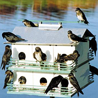 Purple Martin Houses